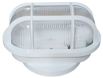 Luminaria Tartaruga Termoplast Branca Com Lente Cristal